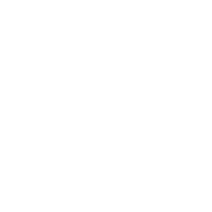 hooli.png